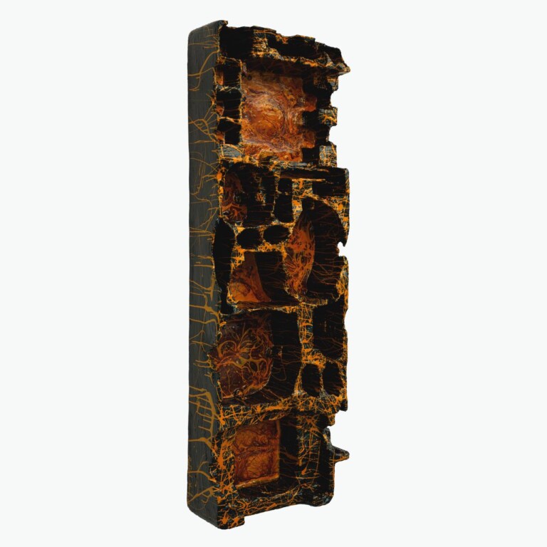 photo_2024-12-12_23-43-15